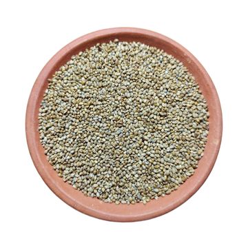 Country pearl Millet, நாட்டுக் கம்பு