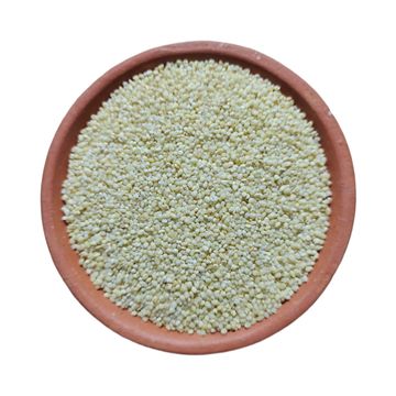 Proso Millet, பனிவரகு