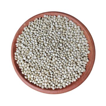 White Cholam, வெள்ளை சோளம்