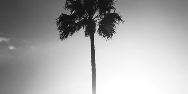 You can think of us as your brand ambassador- we are dedicated to you and your brand. 
We guarantee