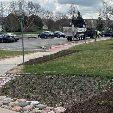 Truck dumping soil in a parking lot near a flower bed and grassy area.