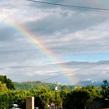 A vibrant rainbow arches over a lush green landscape under a cloudy sky.