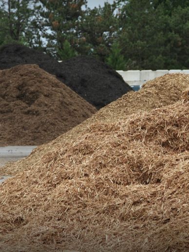 What are the benefits of mulch?