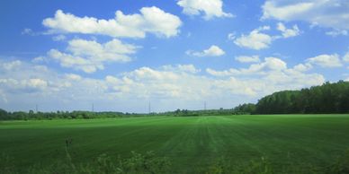 A large field of green sod with a cloudy blue sky above.