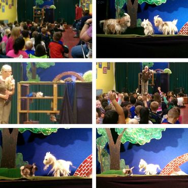 a composite of six photos of a puppet show performance