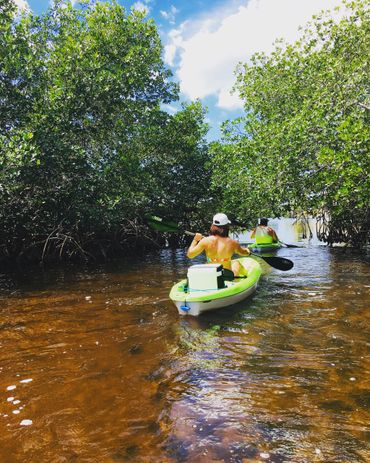 Mangrove Trail Kayak Rental