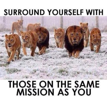 Lions walking together with motivational quote about missions.