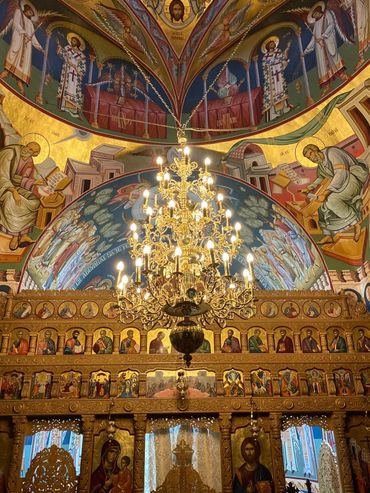 policandru alama 36 brate