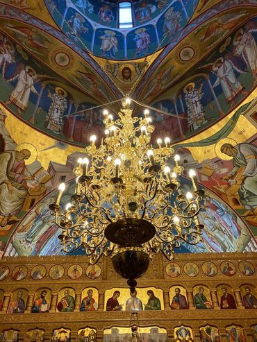 policandru alama 36 brate