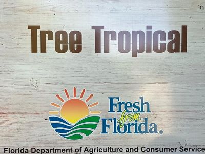 Fresh from Florida organic healthy bees