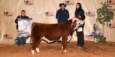 Pictured above, Reserve Grand Champion at Ohio Beef Expo.