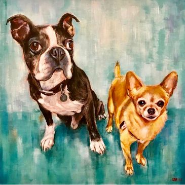 Boston Terrier
Chihuhua
Pet Buddies 
Fur Babies