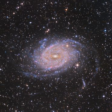 Caldwell 101 Spiral Galaxy