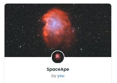SpaceApe Collection