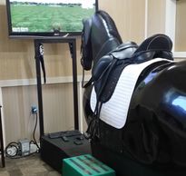 State of the art riding simulators will enhance the abilities of all riders beginner to advanced.
