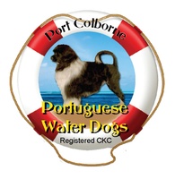 Portcolborne Portuguese Water Dog Kennels