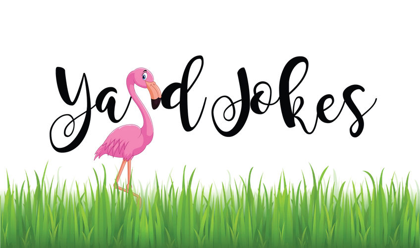 Yard jokes, flamingos, birthday sign rentals, and birth announcements