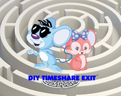 DIY Timeshare Exit Mice a Maze