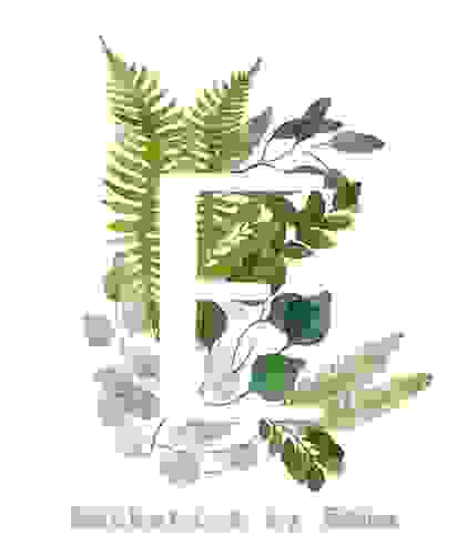 image116