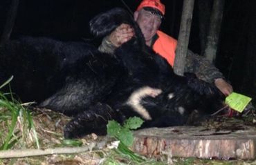 wisconsinbearhunting.com