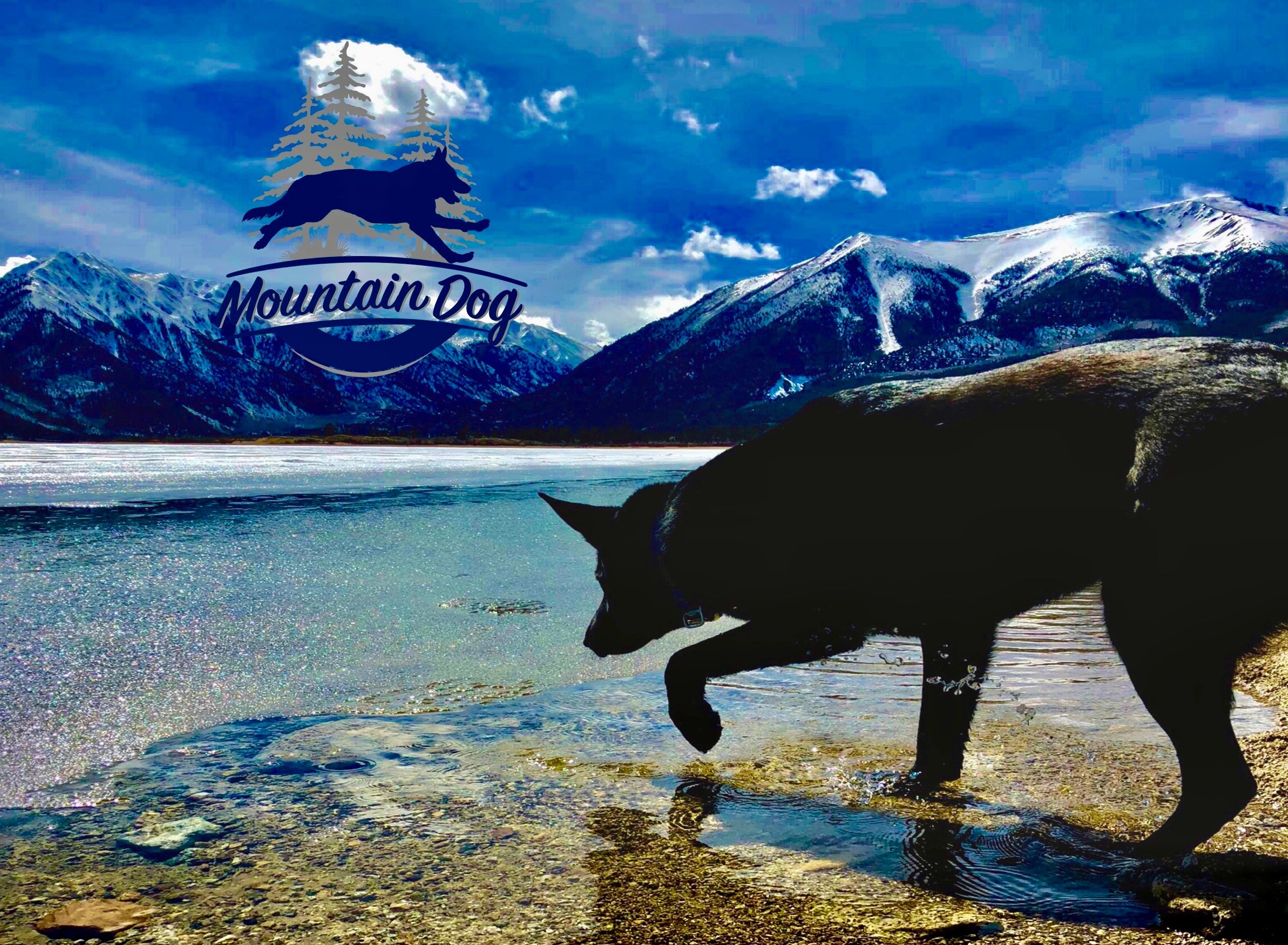 Mountain Dog Pet Supply