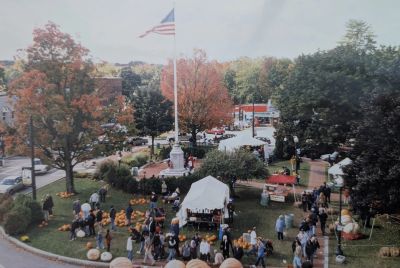 Community event in a park with people and tents.