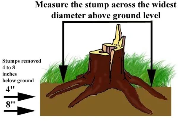 Oakville Stump Removal