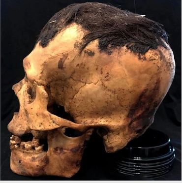 Peruvian Skull 