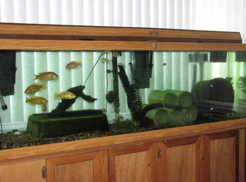 An aquarium
