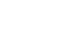 THE VICTORIAN FLOOR COMPANY