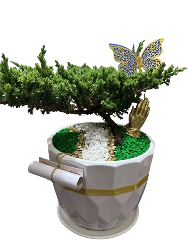 Mesa | Porcelana | Bonsai Jade Nana