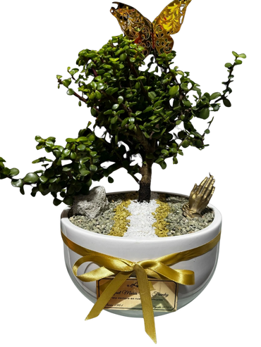 Mesa | Porcelana | Bonsai Jade Hembra | Placa Bronze