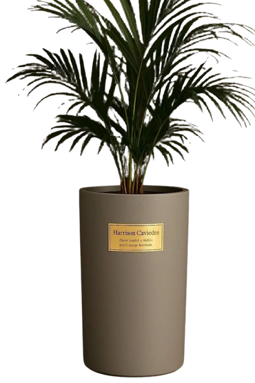 Self-Standing | Concreto | Palma Brasilera