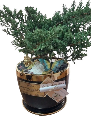Mesa | Porcelana | Bonsai Jade Hembra | Placa Bronze