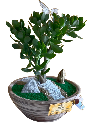 Mesa | Ceramica | Bonsai Jade Macho | Placa Bronze