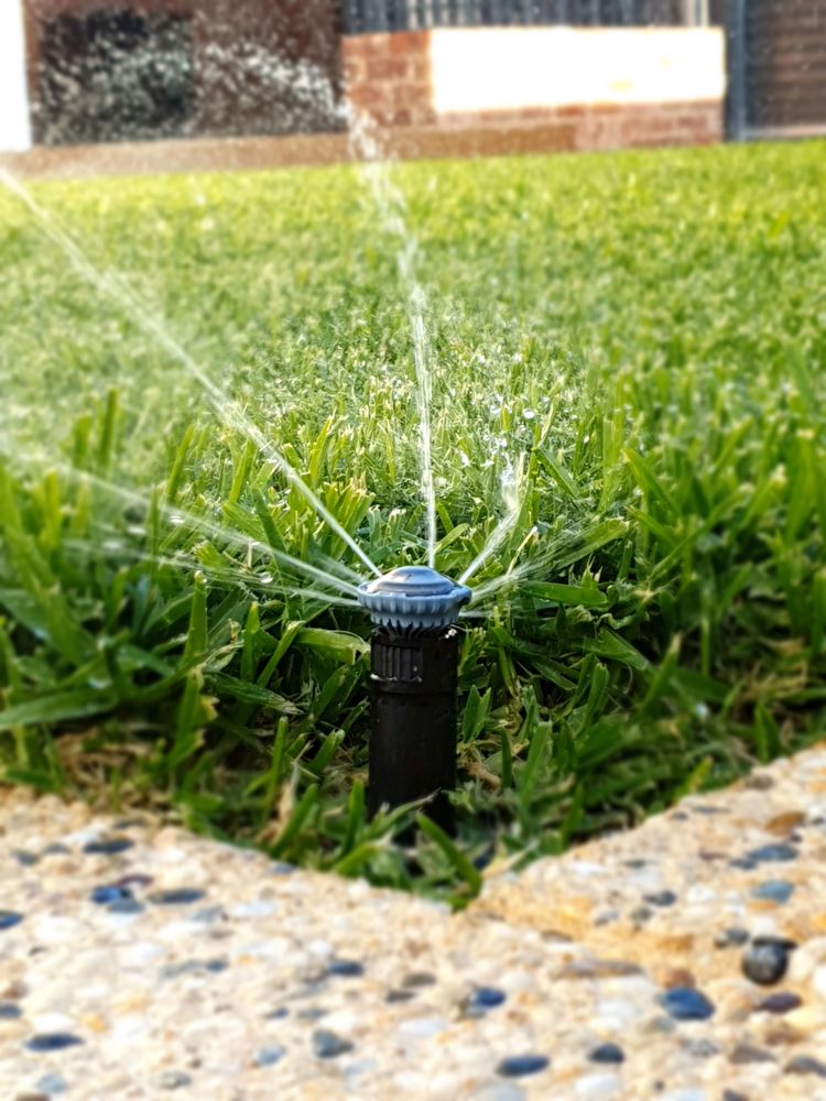 pop up sprinkler in lawn irrigation installation in new landscape