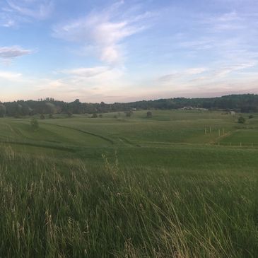 Picturesque view of rolling hills and fields of the Palgrave Sports Academy.