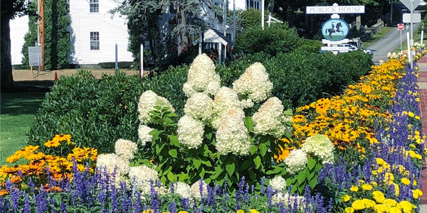 Colorful flower beds line a sunny roadside near a historic public house.