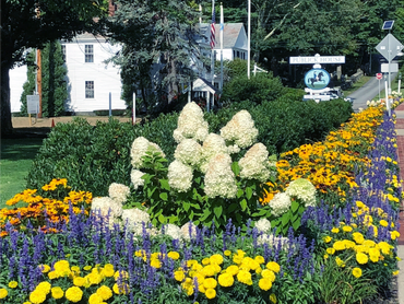 Colorful flower beds line a sunny roadside near a historic public house.
