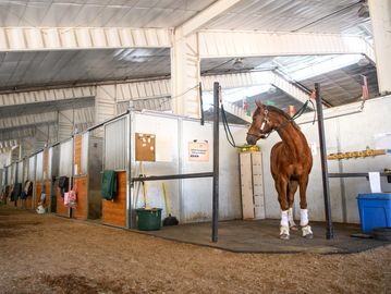 stabling, equestrian facility, aurum equestrian