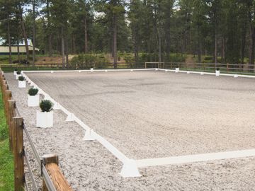 dressage court, dressage training, martin collins footing