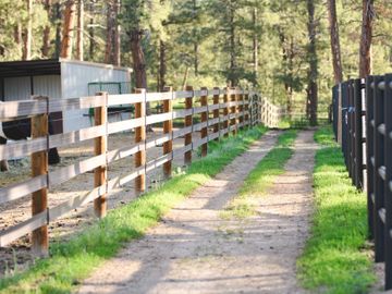 pastures, turnout, aurum equestrian
