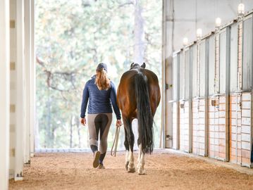 walking a horse down the isle, horse care