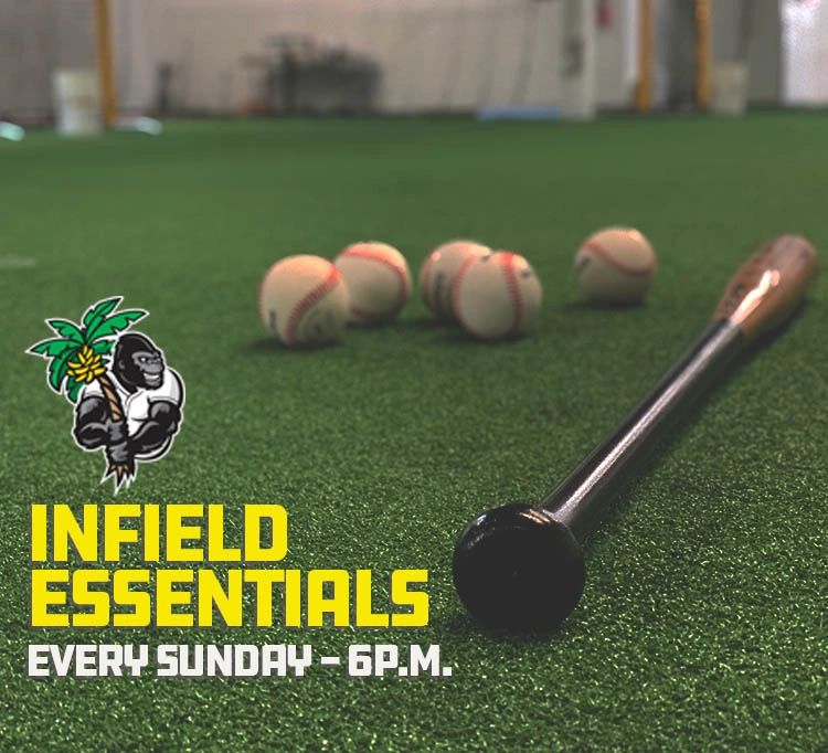 Gorilla Athletic Training Batting Cages Lincolnshire, Illinois