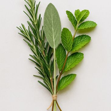 A bundle of fresh rosemary, sage, and mint herbs tied with twine.