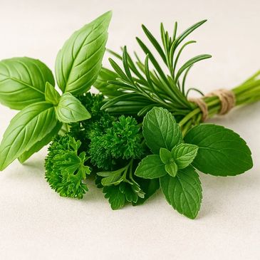 A fresh bundle of assorted green herbs tied together with twine.