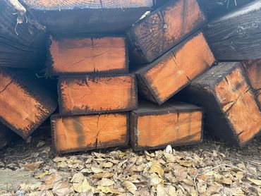 Sapin Douglas usagé
TRÈS ROBUSTE