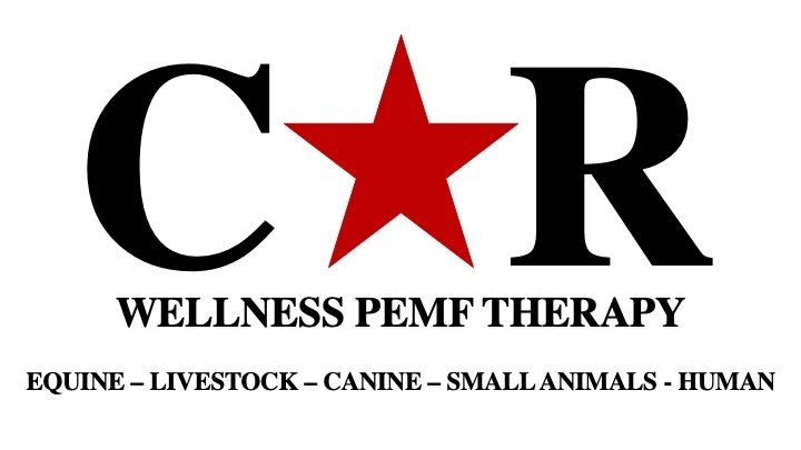 PEMF Therapy  Curis Health
