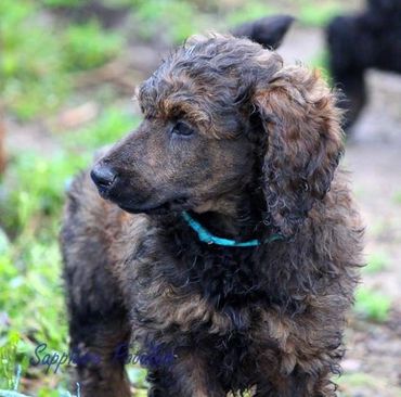 Blue collar boy Stevie.