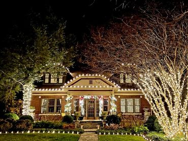 A house beautifully decorated with white Christmas lights on trees and roof at night.